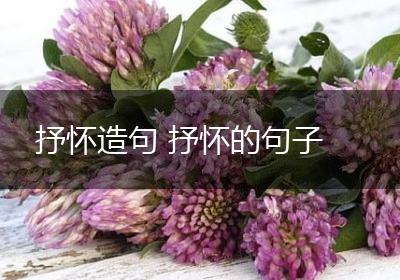 抒怀造句 抒怀的句子