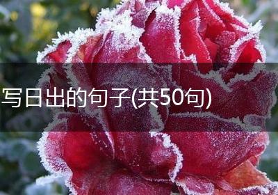 写日出的句子(共50句)