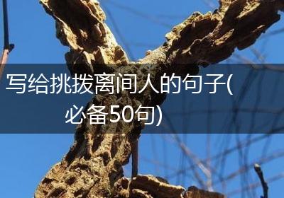 写给挑拨离间人的句子(必备50句)