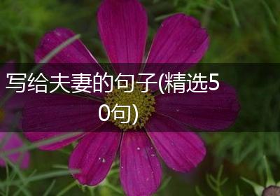 写给夫妻的句子(精选50句)