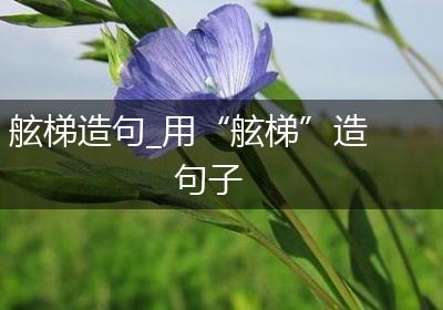 舷梯造句_用“舷梯”造句子