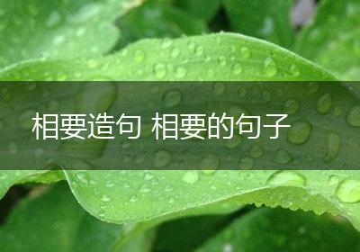 相要造句 相要的句子