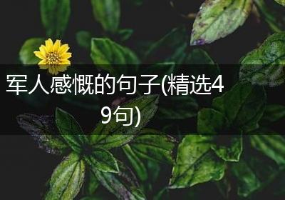 军人感慨的句子(精选49句)