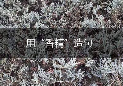 用“香精”造句