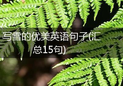 写雪的优美英语句子(汇总15句)