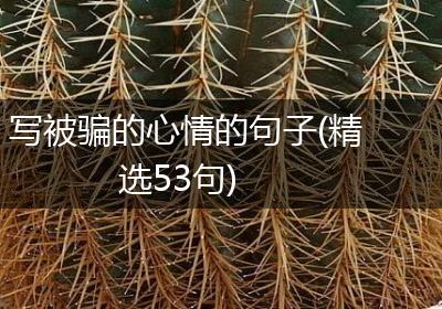 写被骗的心情的句子(精选53句)