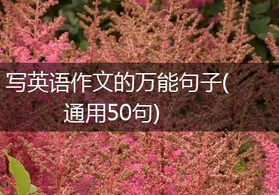 写英语作文的万能句子(通用50句)