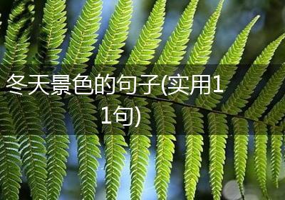 冬天景色的句子(实用11句)