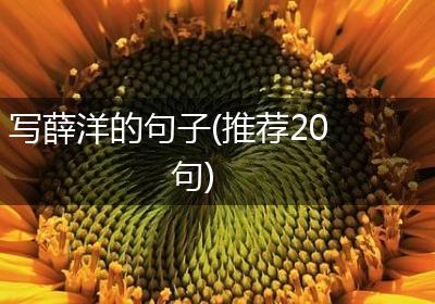 写薛洋的句子(推荐20句)