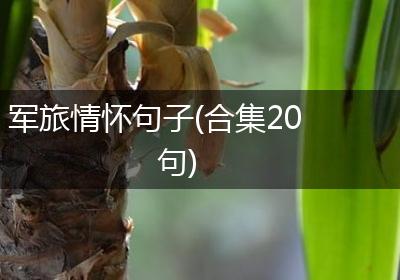 军旅情怀句子(合集20句)