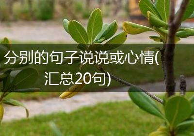 分别的句子说说或心情(汇总20句)