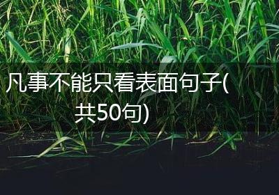 凡事不能只看表面句子(共50句)