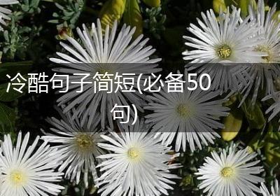 冷酷句子简短(必备50句)