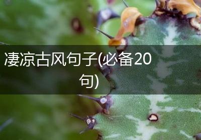 凄凉古风句子(必备20句)