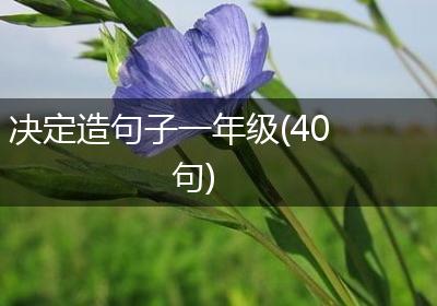 决定造句子一年级(40句)