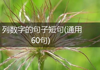 列数字的句子短句(通用60句)