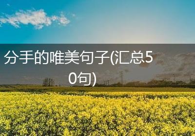 分手的唯美句子(汇总50句)