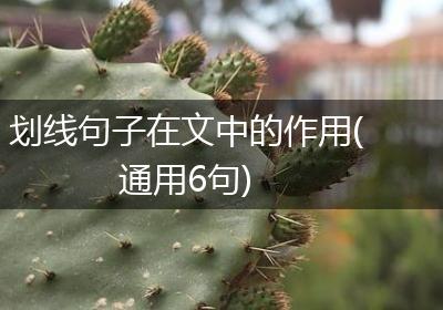 划线句子在文中的作用(通用6句)