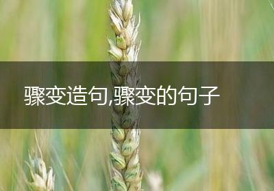骤变造句,骤变的句子