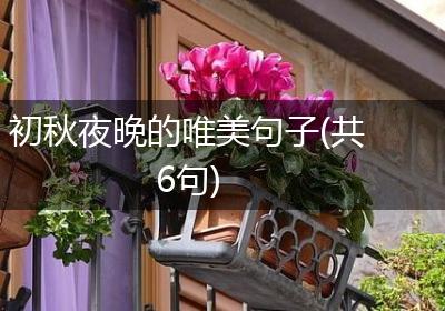 初秋夜晚的唯美句子(共6句)