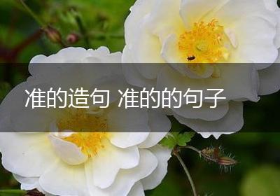 准的造句 准的的句子