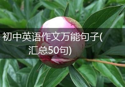 初中英语作文万能句子(汇总50句)