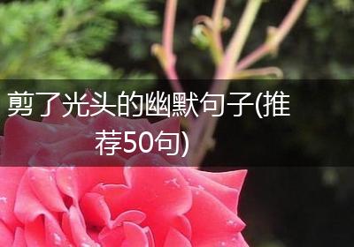 剪了光头的幽默句子(推荐50句)