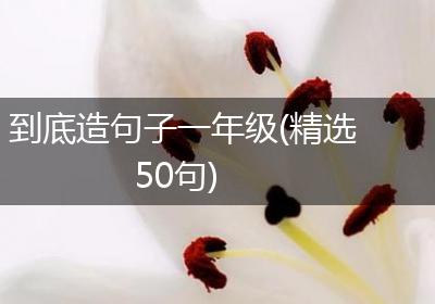 到底造句子一年级(精选50句)