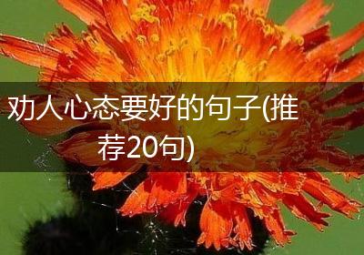 劝人心态要好的句子(推荐20句)