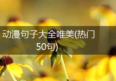 动漫句子大全唯美(热门50句)