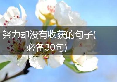 努力却没有收获的句子(必备30句)