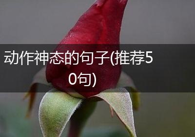 动作神态的句子(推荐50句)