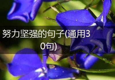 努力坚强的句子(通用30句)