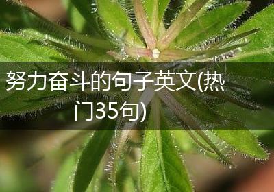 努力奋斗的句子英文(热门35句)
