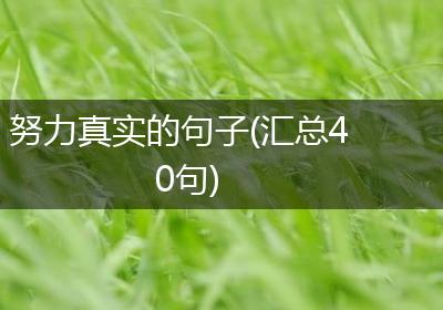 努力真实的句子(汇总40句)
