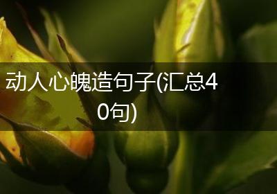 动人心魄造句子(汇总40句)