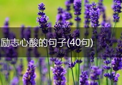 励志心酸的句子(40句)