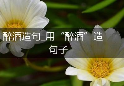 醉酒造句_用“醉酒”造句子