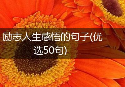 励志人生感悟的句子(优选50句)