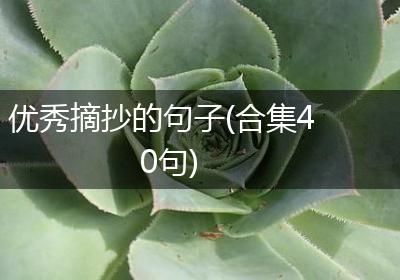 优秀摘抄的句子(合集40句)