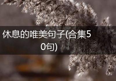 休息的唯美句子(合集50句)