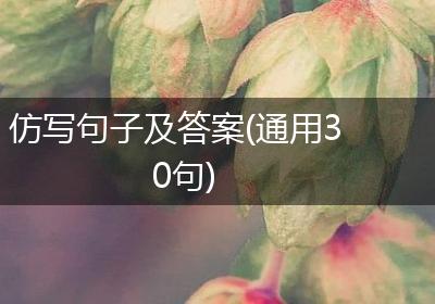 仿写句子及答案(通用30句)