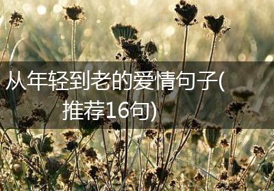 从年轻到老的爱情句子(推荐16句)