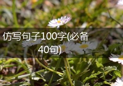 仿写句子100字(必备40句)