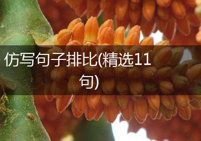 仿写句子排比(精选11句)