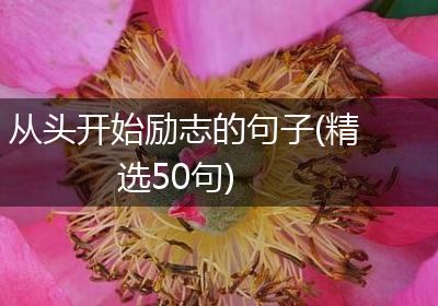 从头开始励志的句子(精选50句)