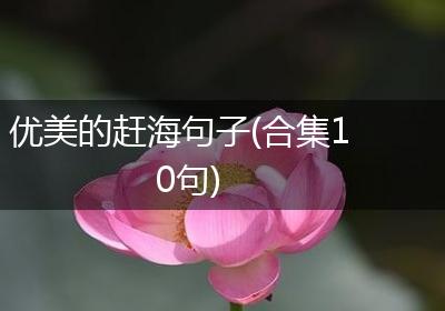 优美的赶海句子(合集10句)