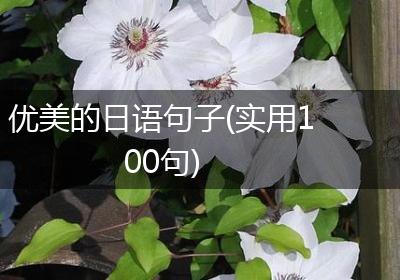 优美的日语句子(实用100句)