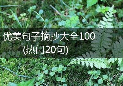 优美句子摘抄大全100(热门20句)