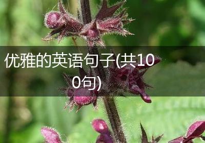 优雅的英语句子(共100句)